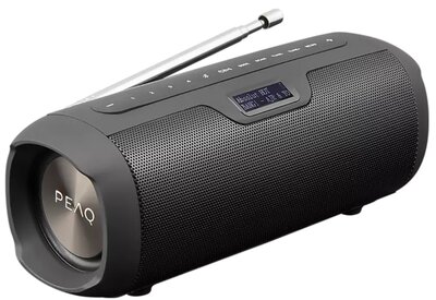 PEAQ PPA 450 DAB Tuner