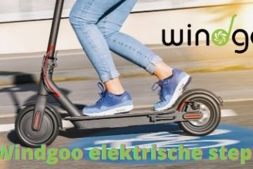 wingoo elektrische step