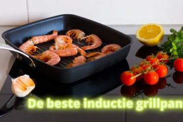 beste inductie grillpannen