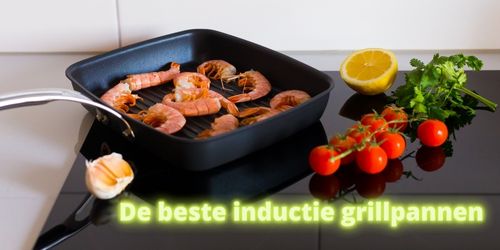 beste inductie grillpannen