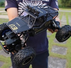 RC auto volwassenen zwart