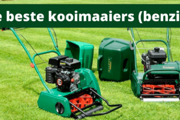Beste kooimaaiers benzine