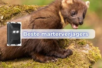 marterverjager