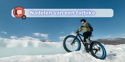 nadelen fatbike