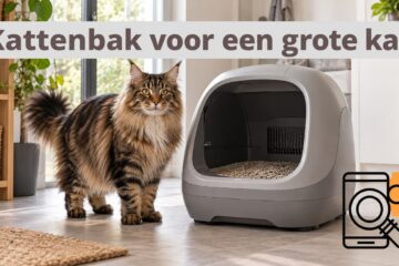 Illustratieve automatische kattenbak met een grote Maine Coon ernaast.